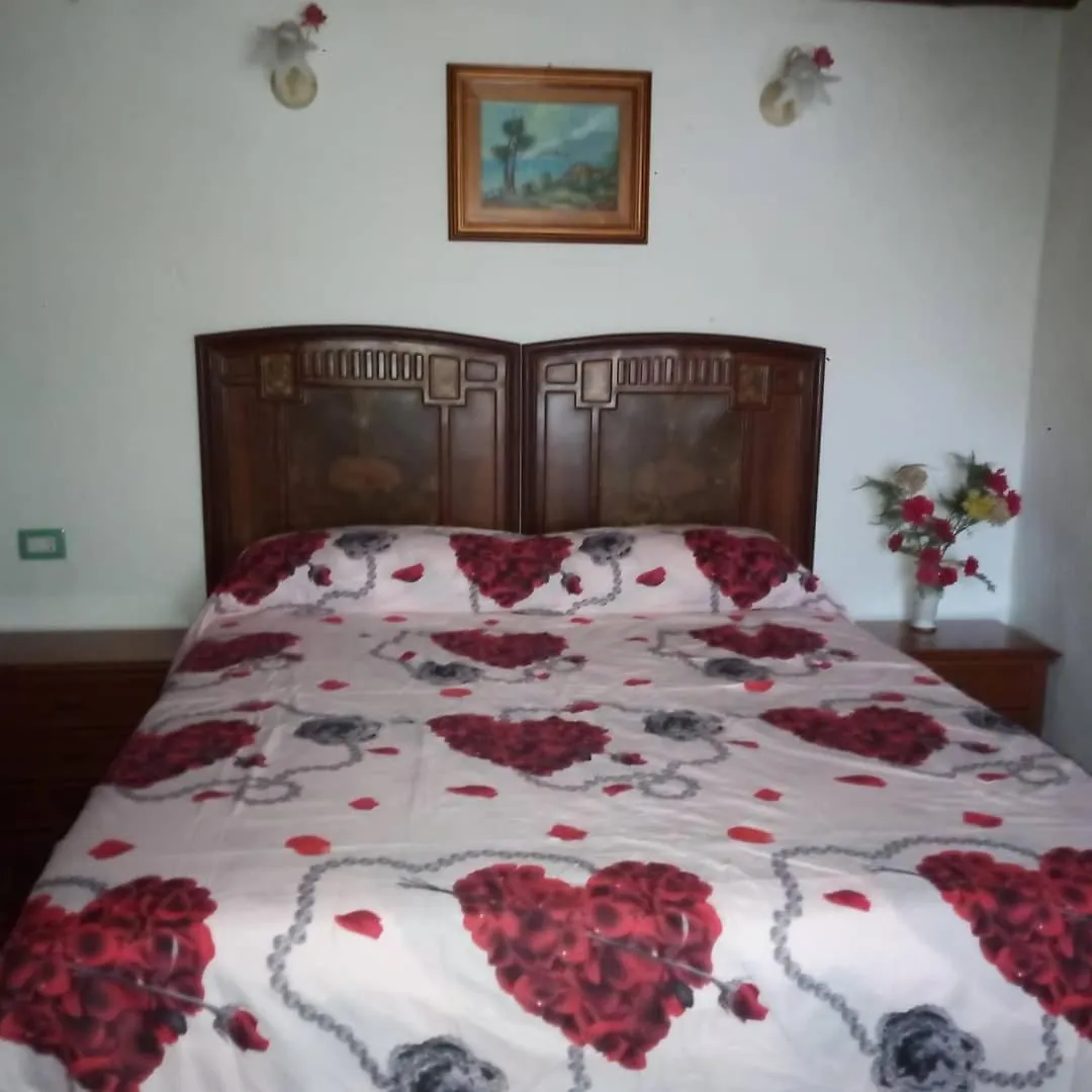 Bed and Breakfast Sardinia Eco Vegan House Zeddiani 0*,