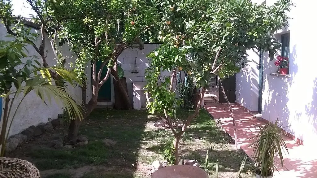 Bed & Breakfast Sardinia Eco Vegan House Bed and Breakfast Zeddiani
